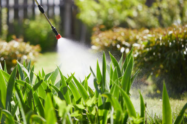 24/7 Emergency Ant Control experts in West Allis, WI